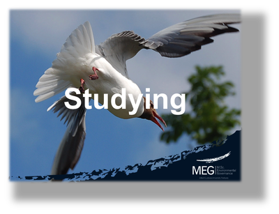 studyinglogo