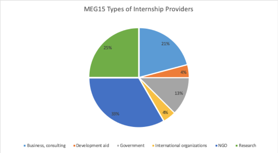 MEG 15 internship stats 2020 